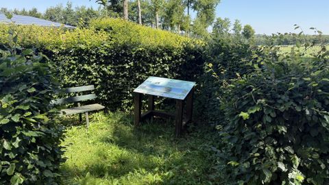 Een kleine, groene tuin met hoge hagen. Een bank en een tafel met informatiemateriaal staan op een zonnige plek.