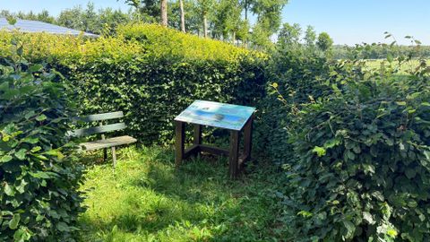 A small, green garden with tall hedges. A bench and a table with informational material are situated in a sunny spot.