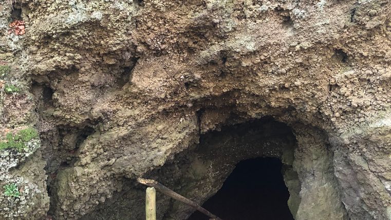 Ingang tot de grot van Martin in Hohenfels-Essingen, omgeven door herfstbladeren.