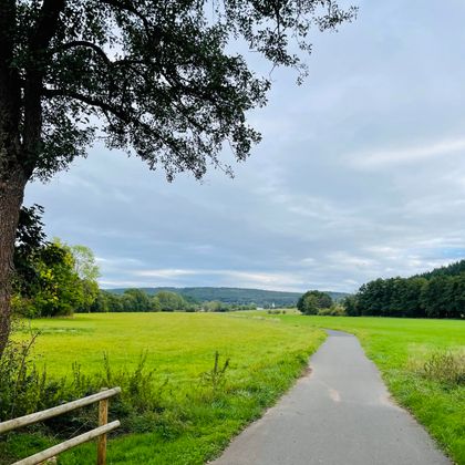 Un chemin tranquille traverse une prairie verte sous un ciel nuageux. Sur le côté gauche, il y a un arbre et une balustrade en bois.