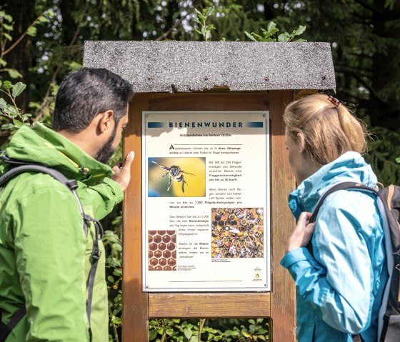 ET-2022-044-Monschau-Bienen-Lehrstand-Rohren-@Eifel Tourismus GmbH, Dominik Ketz, © Eifel-Tourismus GmbH, Dominik Ketz