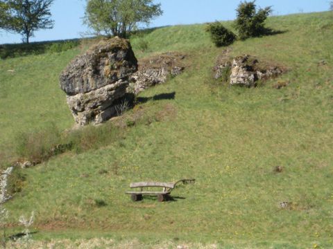 <p>The Hippelsteinchen is a rock formation made up of several layers of stacked boulders. The structure resembles a mushroom and is about five meters tall. The Hippelsteinchen is situated on a slight slope. On the right and left of the stone, there is a rock exposure, and below it stands a resting bench.</p>