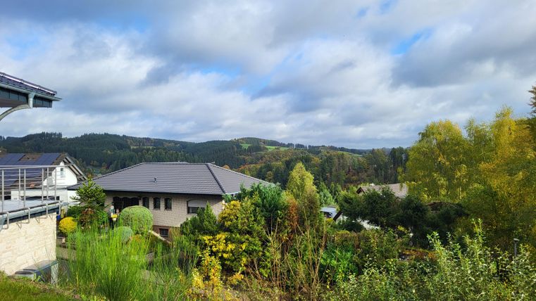 Een rustige landschap met groene bomen en huizen. De wolken in de lucht geven de scène een ontspannen sfeer.