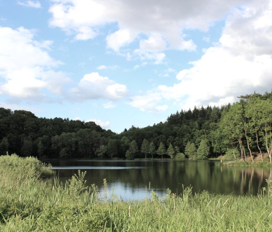 Holzmaar, © Martina Eis