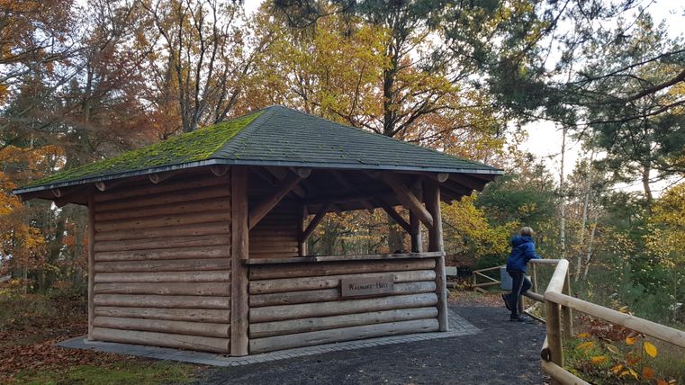 Eine Holzstruktur mit einem grünen Dach steht in einem Wald. Im Hintergrund sind herbstliche Bäume zu sehen.