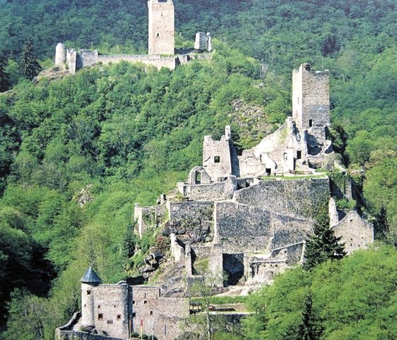 Châteaux forts de Manderscheid, © Gertrud Wieser