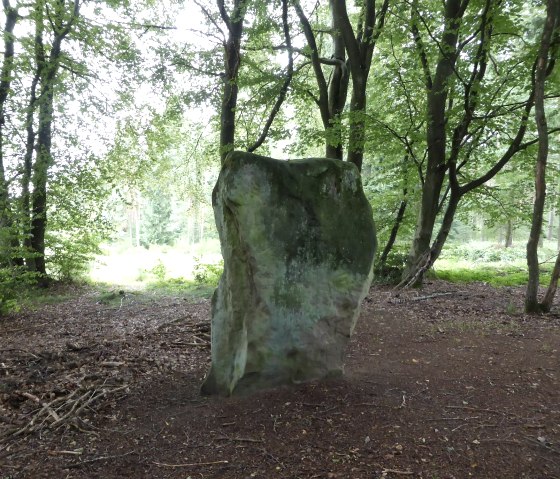 Druïdensteen Bollendorf van de "achterkant, © Elke Wagner
