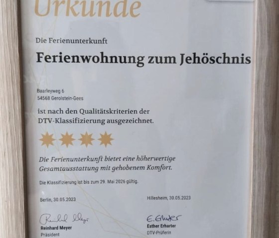 DTV-Klassifizierung