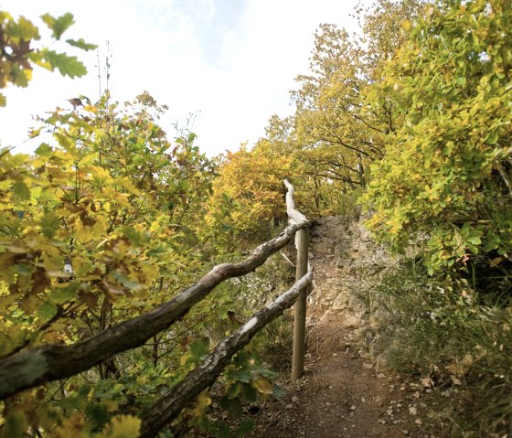 Path up to the Kuckucksley, a vantage point with a good view of the village of Olef, © Rheinland-Pfalz Tourismus/D. Ketz