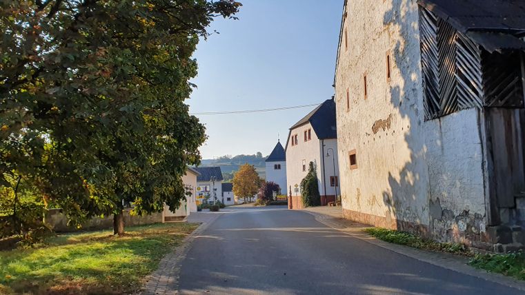 Straat in Brecht met bomen en gebouwen bij zonsondergang.