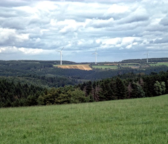 Uitzicht langs de 4 valleien route, © Der Eifelyeti.de
