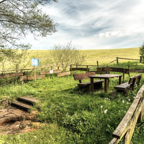 Aire de pique-nique au Steffelner Drees, © Eifel Tourismus GmbH, Dominik Ketz