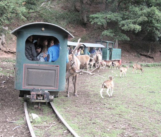 Zoo de l'Eifel à Lünebach, © Gertrud Wieser