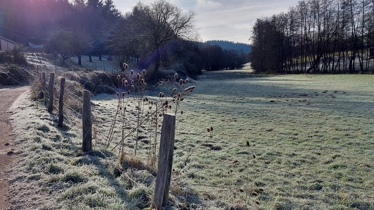 A frosty landscape with a meadow and a path. In the background, trees and hills can be seen.