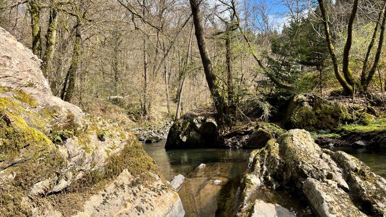 Stone formation by a stream in the forest with trees and blue sky.