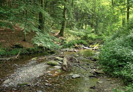 Desert stream