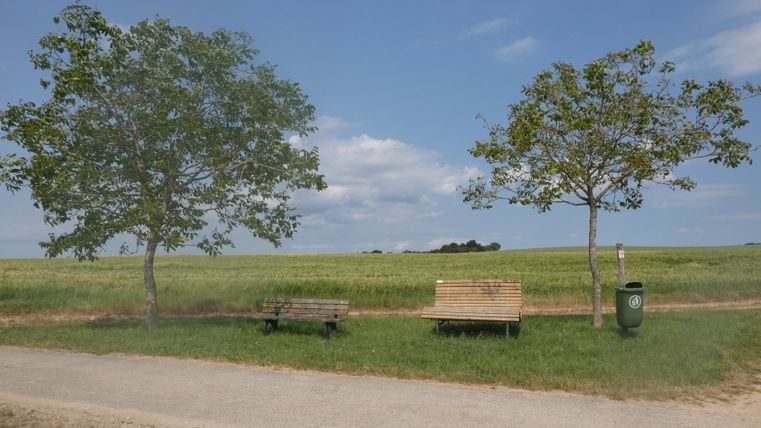 Deux bancs et une poubelle entre les arbres sur une aire de repos devant un champ.