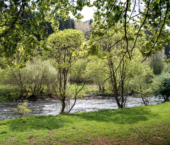 Ein Fluss fließt durch eine grüne Landschaft mit Bäumen und Wiesen. Sonnenlicht fällt durch die Blätter und erzeugt ein friedliches Ambiente., © Tourist-Information Bitburger Land_Monika Mayer