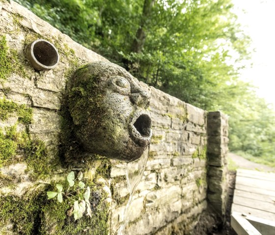Discover details along the way on the Maare and Thermen Trail, © Eifel Tourismus GmbH, D. Ketz