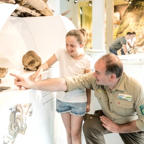 Exploration tour of the wilderness(t)spaces adventure exhibition, © Dominik Ketz