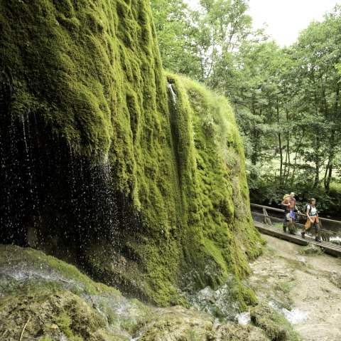 Eifelsteig, Nohner Wasserfall, © Eifel Tourismus GmbH - Dominik Ketz
