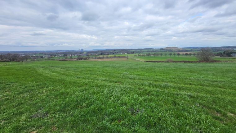 A wide meadow landscape with fresh, green grass and a cloudy sky. In the background, gentle hills and fields are visible.