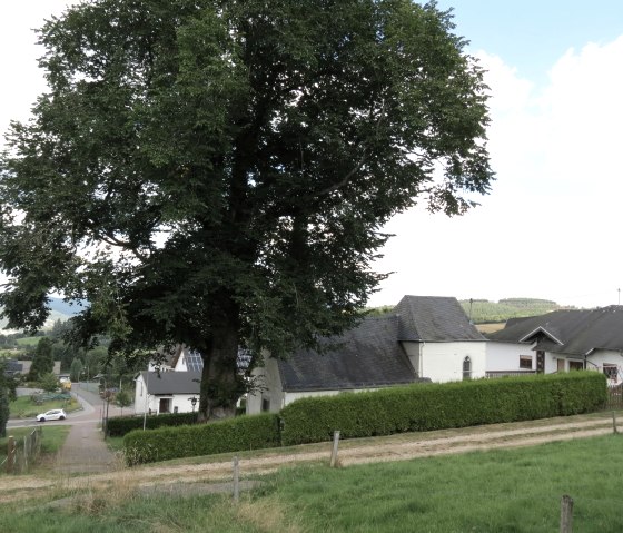 Blick auf Kottenborn, © Tourist-Information Hocheifel-Nürburgring, VG Adenau