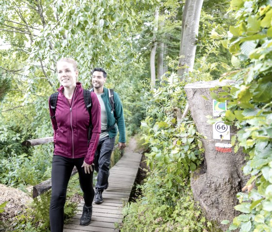 ET-2022-055-Muetzenich-Laufenbachtal-Eifel_Tourismus_GmbH_A-Roeser-shapefruit-AG, © Eifel-Tourismus GmbH, A. Röser shapefruit AG