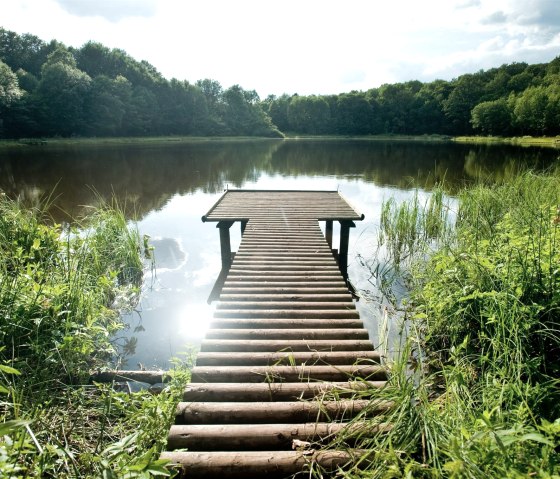 Windsborn Bergkratersee, © GesundLand Vulkaneifel