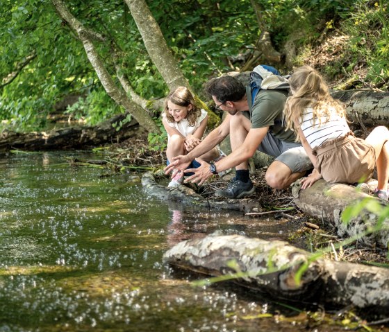 Wandern am Laacher See , © Eifel Tourismus GmbH, Dominik Ketz