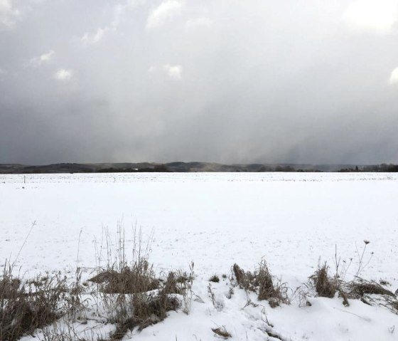Dreiborner Hochfläche