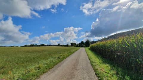 Landweg tussen velden onder een blauwe lucht met wolken.