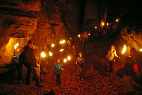 A group of people walks with torches through a dark cave. The ground is covered with leaves, and the light from the torches illuminates the surroundings.