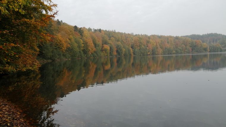 Ein ruhiger See mit spiegelndem Wasser, umgeben von bunten herbstlichen Bäumen. Der Himmel ist bewölkt und die Landschaft strahlt eine friedliche Atmosphäre aus.