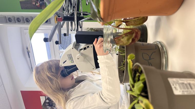 A girl is looking through a microscope in a room with plants. Around her are various flower pots with green plant growth.