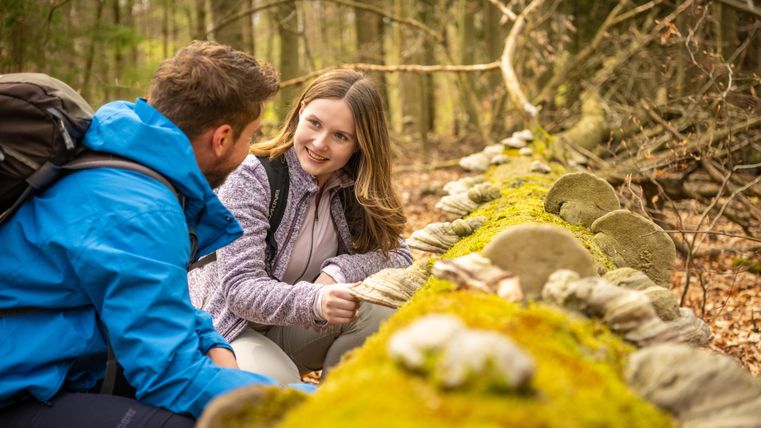A couple is sitting by a moss-covered stone wall in the forest. They are chatting and enjoying the nature around them.