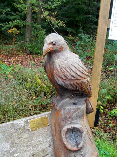 Houten vogelsculptuur in het bos op een boomstam.