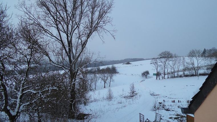 Eine verschneite Landschaft mit kahlen Bäumen und sanften Hügeln. Der Himmel ist grau und vermittelt eine ruhige Winterstimmung.
