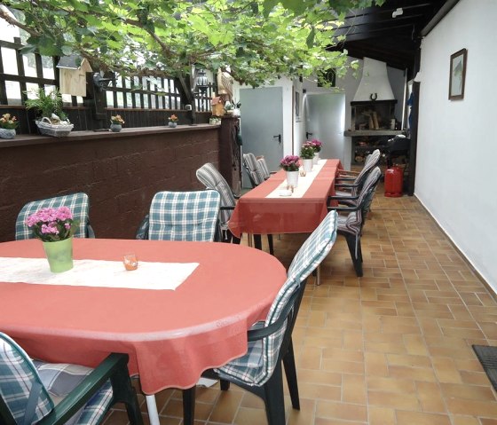 Terras1