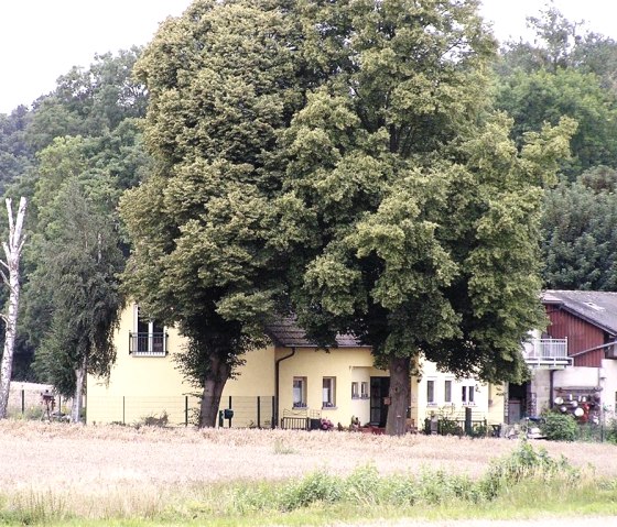 House with tree