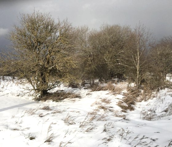 Wanderung ehemalige Panzerstraße
