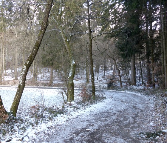 Promenade en lisière de forêt, © Tourist-Information Islek