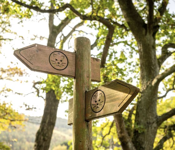 Wildernis Trail bewegwijzering, © Eifel-Tourismus GmbH, Dominik Ketz
