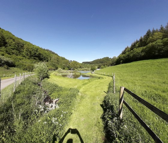 Étang de pêche près de Deudesfeld, © GesundLand Vulkaneifel