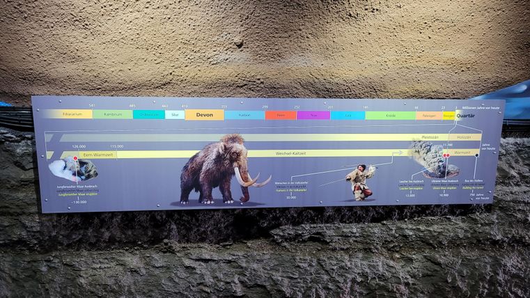 Das Bild zeigt ein Informationsschild über die Evolution von Säugetieren. Es sind Abbildungen von Mammuts und anderen Tieren sowie eine Zeitleiste zu sehen.