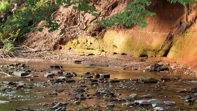 Een klein beekje stroomt langs een roodachtige muur van aarde, omgeven door groene bladeren en stenen.