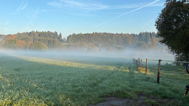 A foggy field with lush grass and a clear sky. In the background, trees and hills can be seen.