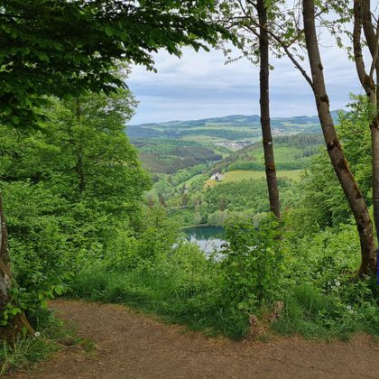 Une vue pittoresque sur un paysage verdoyant avec des arbres et des collines douces. Au fond, un petit lac est visible.