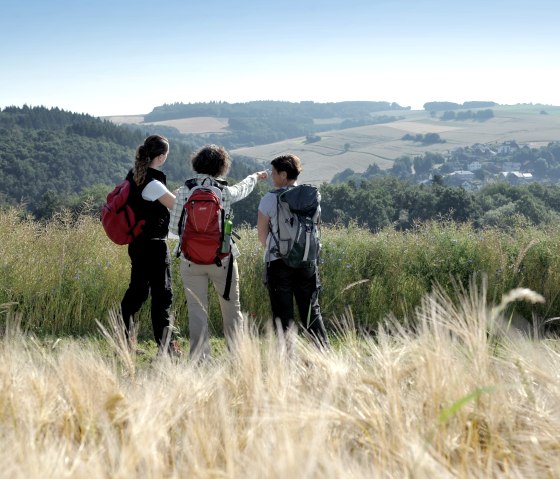 Weidse velden - geweldig uitzicht op de rondweg Masburg Steinbach, © Schieferland Kaisersesch, Christoph Gerhartz