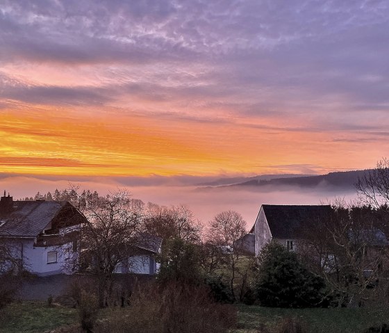 View from the living room